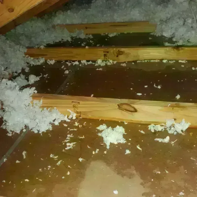 Attic Water Damage in Fort Campbell North, KY